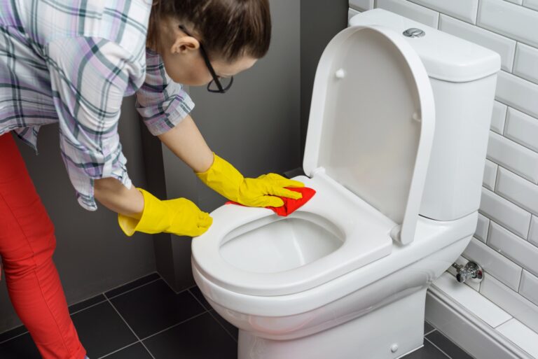 House cleaning. Woman cleaning toilet
